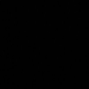 Meet your Posher, Lacey